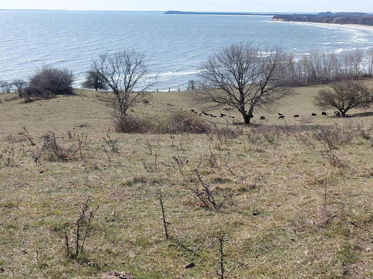 Traumblick Und Komfort - Lichtdurchflutete 85 Qm Wohnung Nahe Suedstrand Goehren Inklusive Schwimmbad Und Sauna Im Ahoi Sellin Exterior foto